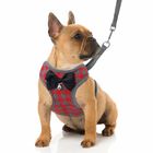 No Pull Small Dog Harness And Leash Set With Breathable Soft Mesh Nylon Vest
